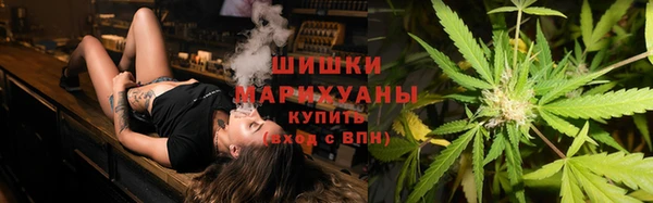 мдпв Няндома