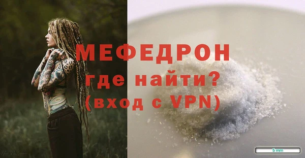 индика Новодвинск
