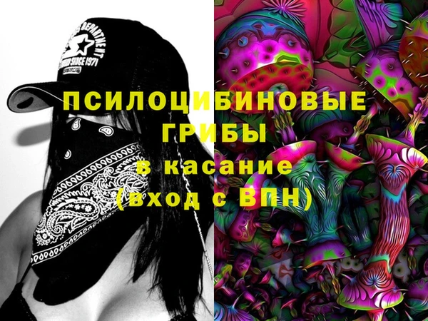 стаф Почеп