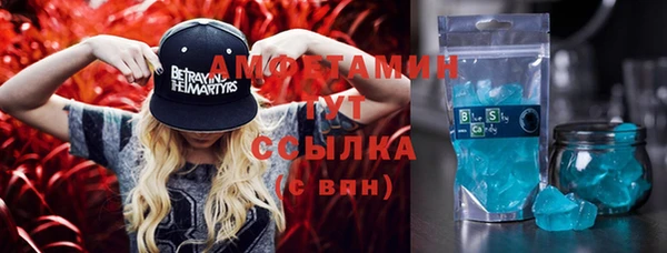 мдпв Няндома